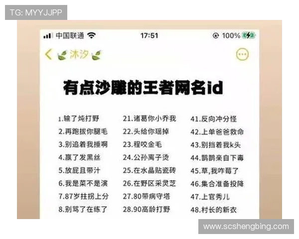 想在王者荣耀里用搞笑名字逗乐队友？这些沙雕ID灵感让你笑出八块腹肌！