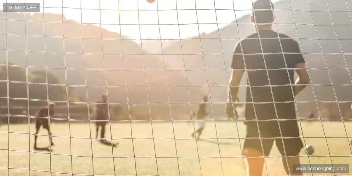 📱移动观赛,精彩永不离线!📡